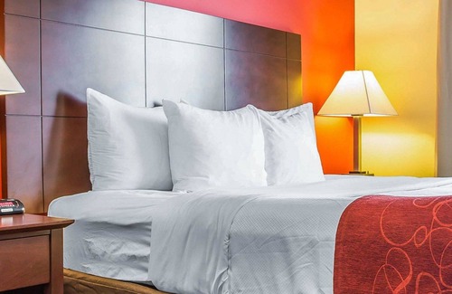 Rock Hill Hotel | Comfort Suites Rock Hill Manchester Meadows Area