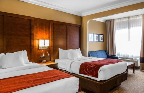 San Jose Hotel | Comfort Suites San Jose Airport