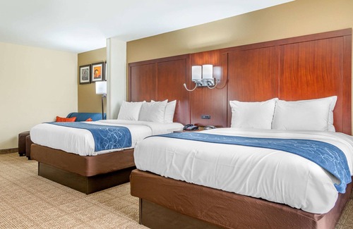 Savannah Hotel | Comfort Suites Savannah Gateway I-95