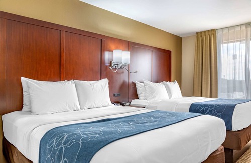 Savannah Hotel | Comfort Suites Savannah Gateway I-95