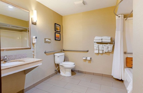 South Haven Hotel | Comfort Suites South Haven near I-96