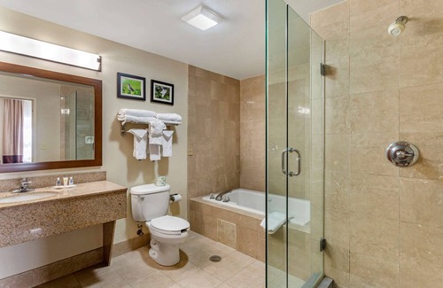 Southaven Hotel | Comfort Suites Southaven I-55