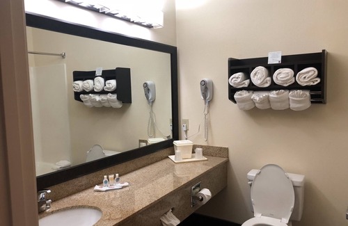 Stevensville Hotel | Comfort Suites Stevensville - St. Joseph