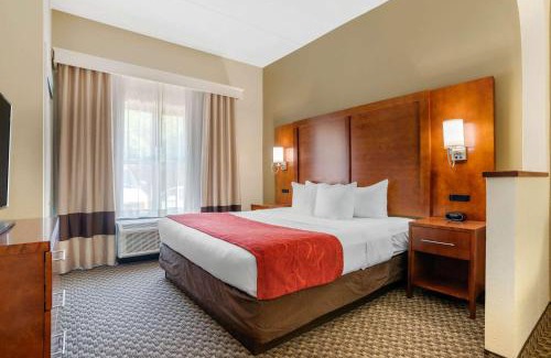 Tallahassee Hotel | Comfort Suites Tallahassee Capitol - University Area