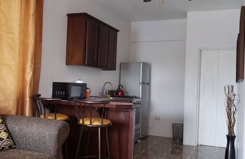 Barbican Apartment | Comfortable Apartment in the Golden Triangle Kingston