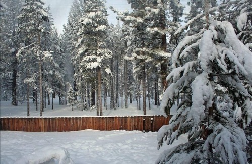 Pioneer Village Cabin | Comfortable, Cozy Tahoe 3BR-2BA Cabin - with Wifi - Min Stay 30 days