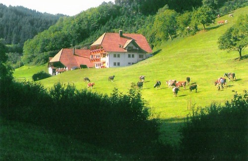 Hofstetten Apartment | Comfortable holiday home in a beautiful location