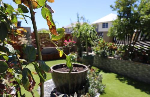 Stirling House | Comfortable Luxury Home