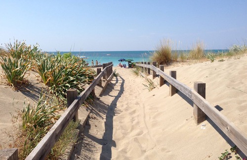 Torre Mozza Apartment | Comfortable mini studio 2 places with garden 100 from the beach and the center