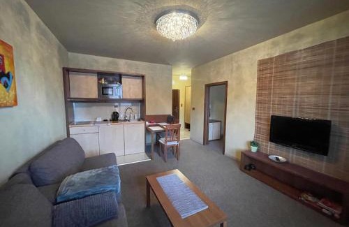 Velka Lomnica Apartment | Comfortable One-Bedroom Apartment TATRAGOLF