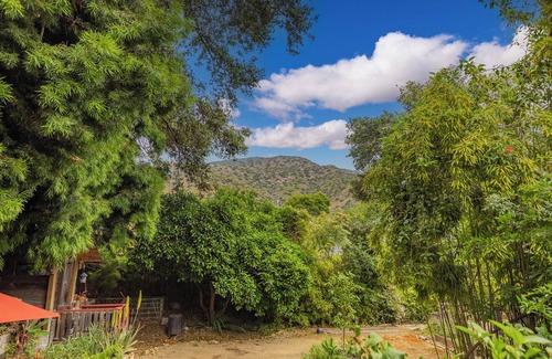 Ojai House | Comfortable, pet-friendly 2-bedroom plus office home in gorgeous Ojai. 30+days.