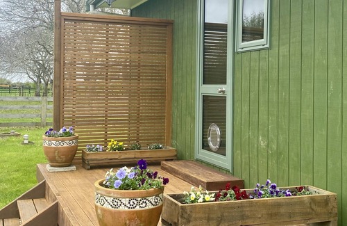 Ohaupo House | Comfortable pet friendly house, walking distance to events centre