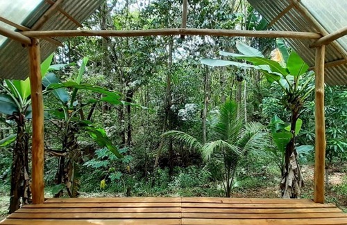 San Juanillo Apartment | Comfortable Yogic Jungle Studio Casita Close to Ocean
