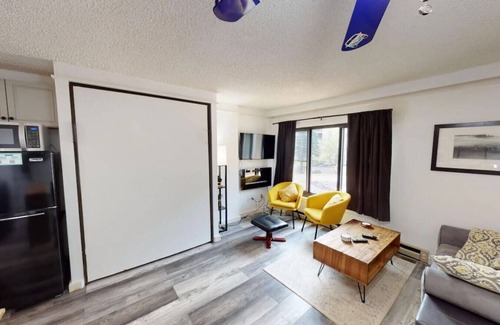 Snowshoe Apartment | Comfy/Cozy Condo in Snowshoe, WV