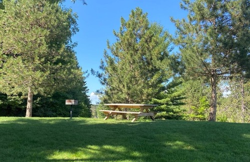 Boyne Falls Condo | Coming for a short trip but don't want to stay in a hotel room? Stay Downhill. Comfy, cozy and the feel of home! Kitchenette stocked with essentials to make a quick meal. Extra comfortable bedding and lounging areas. Walking distance to ski lift.