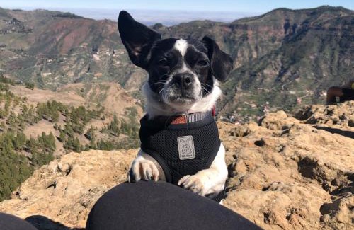 Puerto de Santiago Bed & Breakfast | Compact room in beautiful 4bedroom penthouse