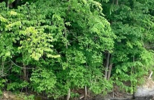 Skaneateles House | COMPLETE RENOVATION! -West side Skaneateles Lake 10-15 minutes from Village