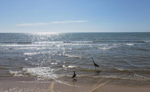 San Felipe House | Condo 5 in San Felipe Just Steps to the Beach Near the Malecon