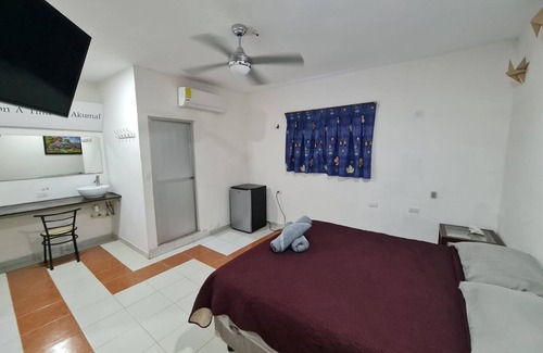 Akumal Hotel | Condo Hotel Sak-Naj Akumal