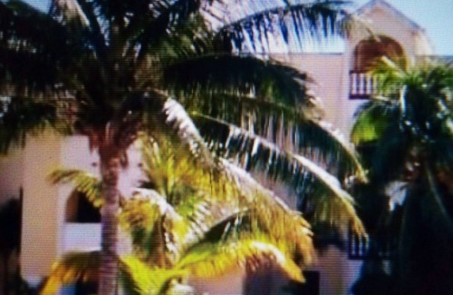 Progreso Municipality Apartment | Condo Kayak Trail - water view