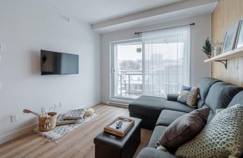 La Cite-Limoilou Ski Chalet | Condo Old Quebec - Gym - AC - Indoor Parking - Rooftop