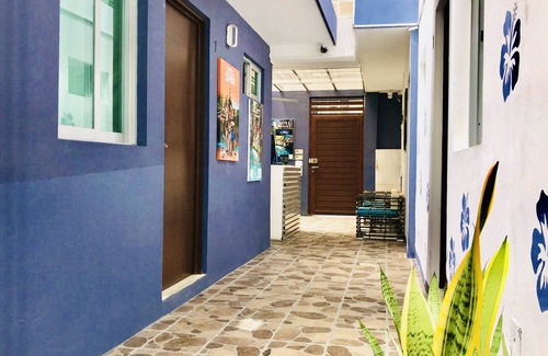 Luis Donaldo Colosio Condo | CondoHotel 5th Avenue Basic Studio