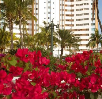 Playas Apartment | Condominio Carabelas de Colón