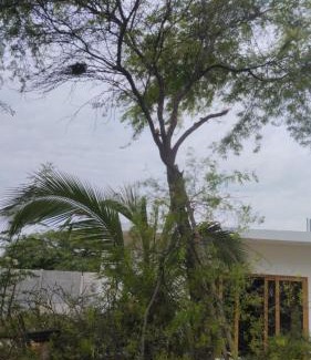 Mancora Apartment | Condominio Carpe Diem Máncora