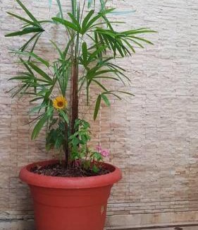 Guayaquil Apartment | Condominio Charito Suite 2G a 12 Min Malecon 2000