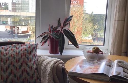Harrogate City Centre House | Conference View Guest House