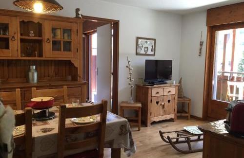 La Clusaz Apartment | Confortable 3 pièces, départ ski, parking, WiFi, La Clusaz - FR-1-459-38