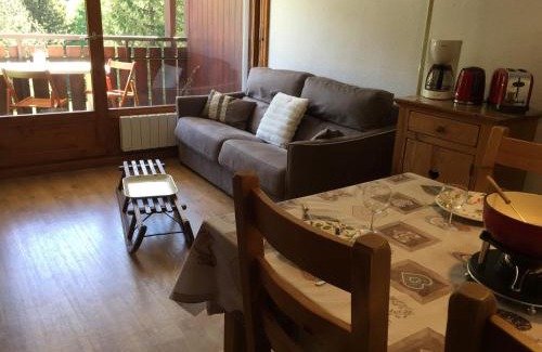 La Clusaz Apartment | Confortable 3 pièces, départ ski, parking, WiFi, La Clusaz - FR-1-459-38