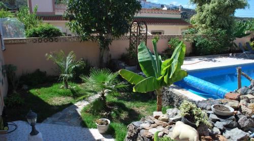 Icod de los Vinos Apartment | Confortable Estudio con Terraza, Piscina y Barbacoa para Escapadas