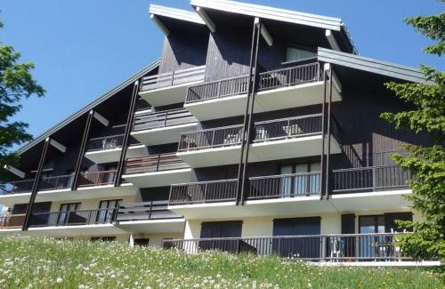 Les Saisies Apartment | Confortable T2 avec balcon plein sud, animaux acceptés - FR-1-293-127