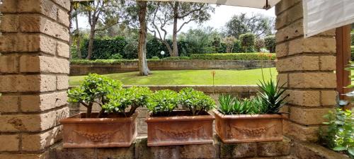 Punta Ala Apartment | Confortevole Bilocale Giardino Doppio Parcheggio
