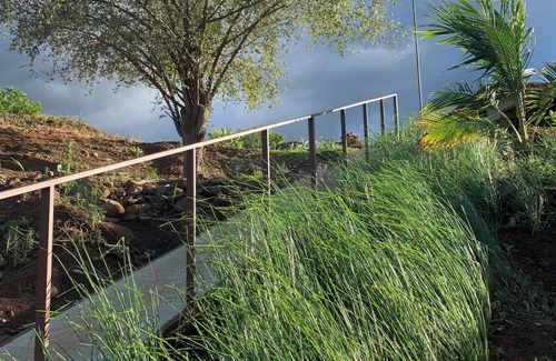 Esparza House | Connecting with nature