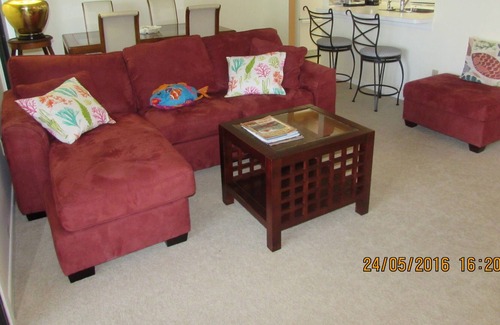 Saint Augustine Shores Condo | Conquistador Wetlands, Panorama Views, Eagles, Herons, Ibises;.....peaceful