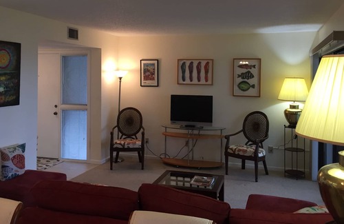 Saint Augustine Shores Condo | Conquistador Wetlands, Panorama Views, Eagles, Herons, Ibises;.....peaceful