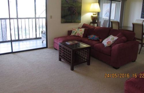 Saint Augustine Shores Condo | Conquistador Wetlands, Panorama Views, Eagles, Herons, Ibises;.....peaceful