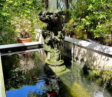 Constantia House | Constantiaberg Eco-Villa