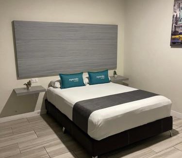 Guadalajara Apartment | Constanza Loft