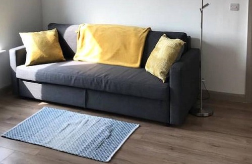 Belfast Apartment | Contemporary Apartment