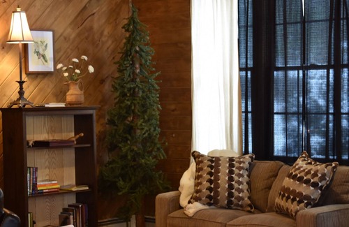 Gaines Cabin | Contemporary Cabin Near Pine Creek, PA Grand Canyon and More