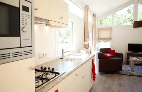 Hulshorst Ski Chalet | Contemporary chalet with dishwasher, in a holiday park on the Veluwemeer
