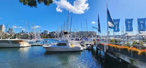 Rushcutters Bay Apartment | Contemporary Harbourside Apartment