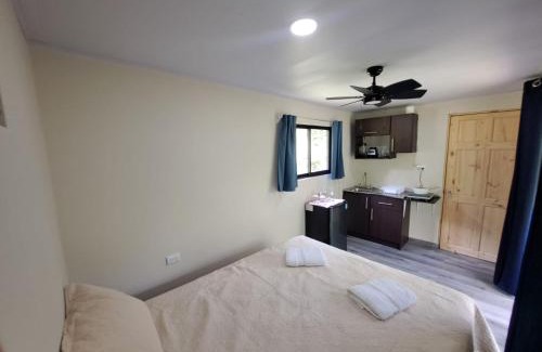 Rosario Apartment | Contenedor el Colibrí