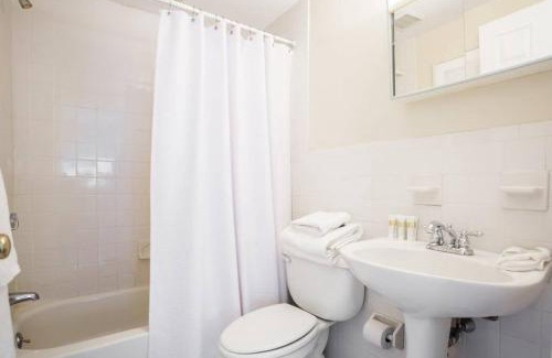 Downtown Boston Apartment | Convenient, furnished 1BR in the heart of Boston