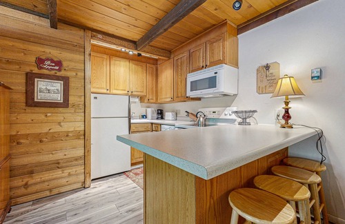 Elkhorn Apartment | Convenient Studio, Walking Distance to Sun Valley Lake - Shopping, Skiing Nearby