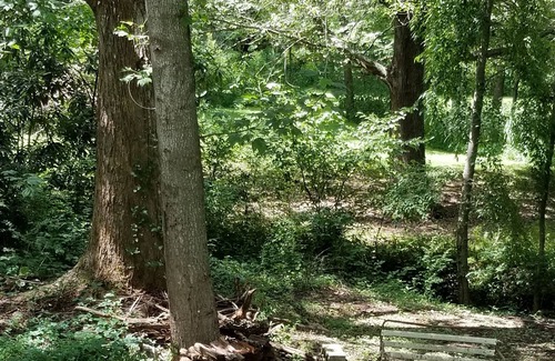 Candler Cabin | Converted cabin.10 minutes from the Blue Ridge Parkway 25 minutes to Asheville