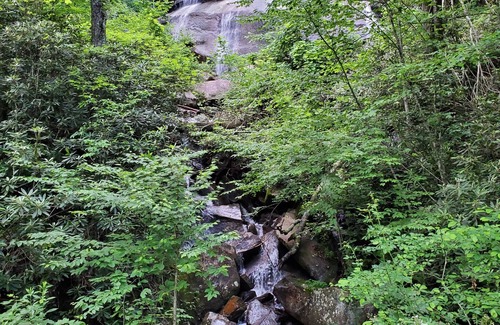 Candler Cabin | Converted cabin.10 minutes from the Blue Ridge Parkway 25 minutes to Asheville
